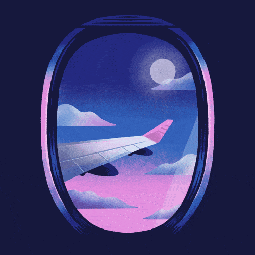 Airline Reservation System bg-image