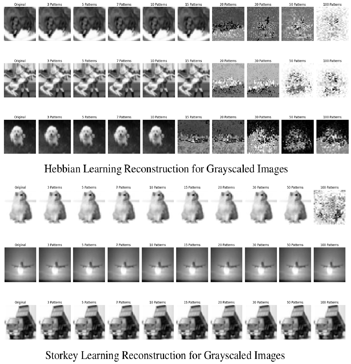 Hebbian & Storkey Learning Reconstruction for Grayscaled images