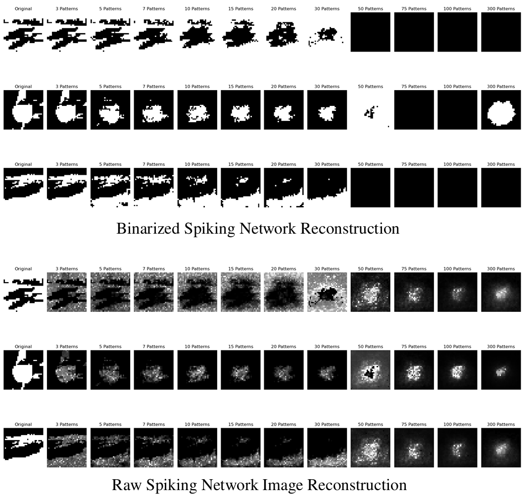 Spiking Network Image Reconstruction for Binarized images